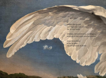 Poëzie ansichtkaart (5x) 'steeds dat gevoel'