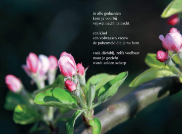 Poëzie ansichtkaart (5x) 'in alle gedaanten'