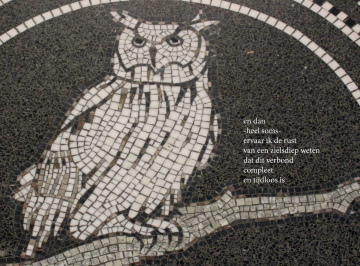 Poëzie ansichtkaart (5x) 'en dan -heel soms-'